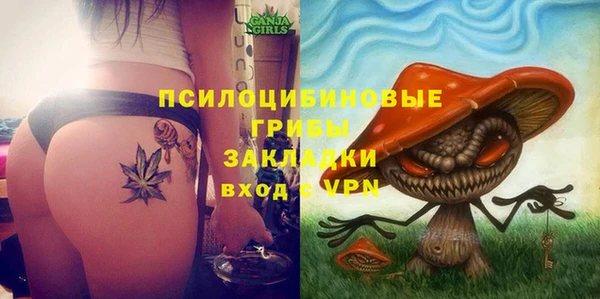 МДМА Алексеевка